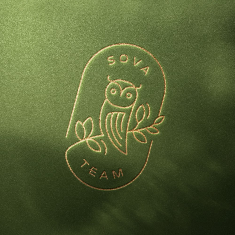 Sova team